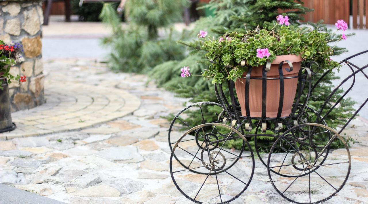 Fazenda Na Goncharakh Hotel Ganchary Ngoại thất bức ảnh
