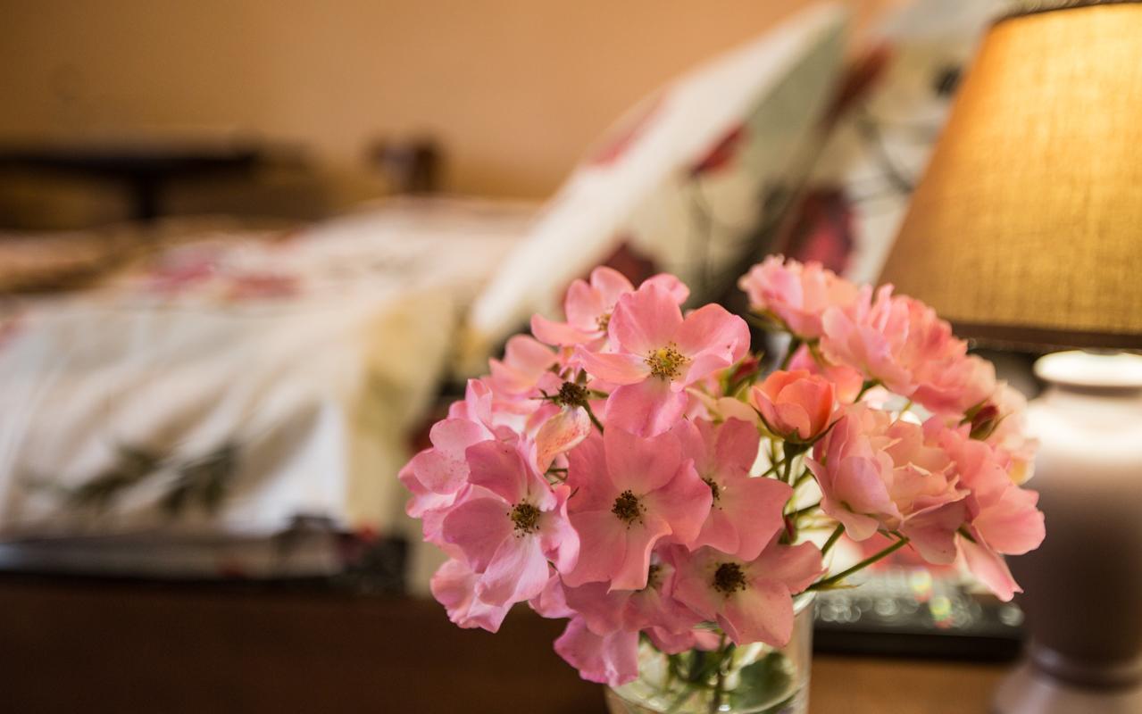 Fazenda Na Goncharakh Hotel Ganchary Ngoại thất bức ảnh